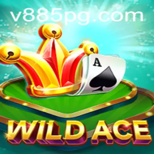 Descobrindo o Mundo de WildAce: Um Guia Completo de Introdução e Regras
